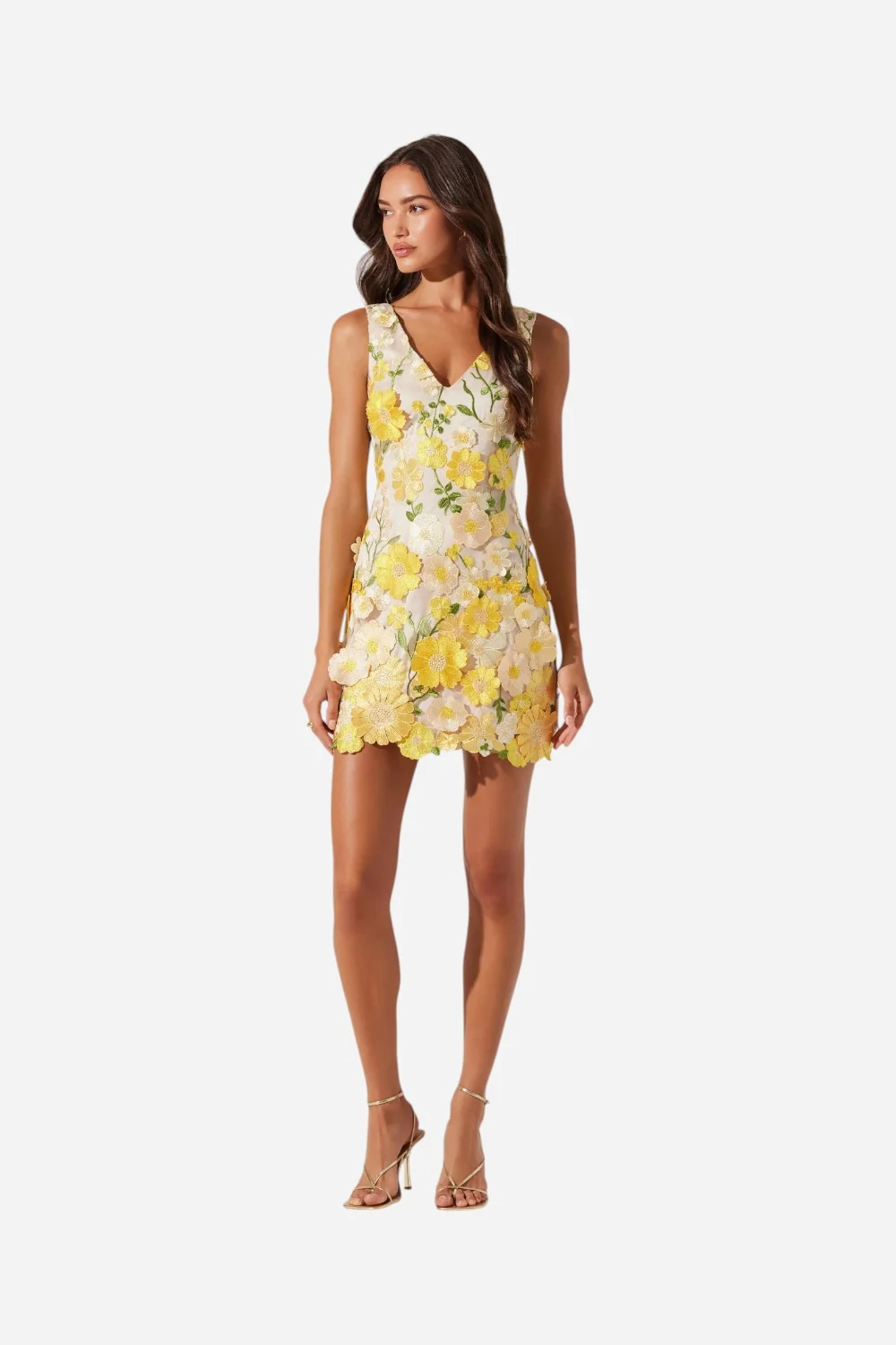 ASTR Aisha Floral Appliqué Mini Dress in Yellow Floral - Image 2