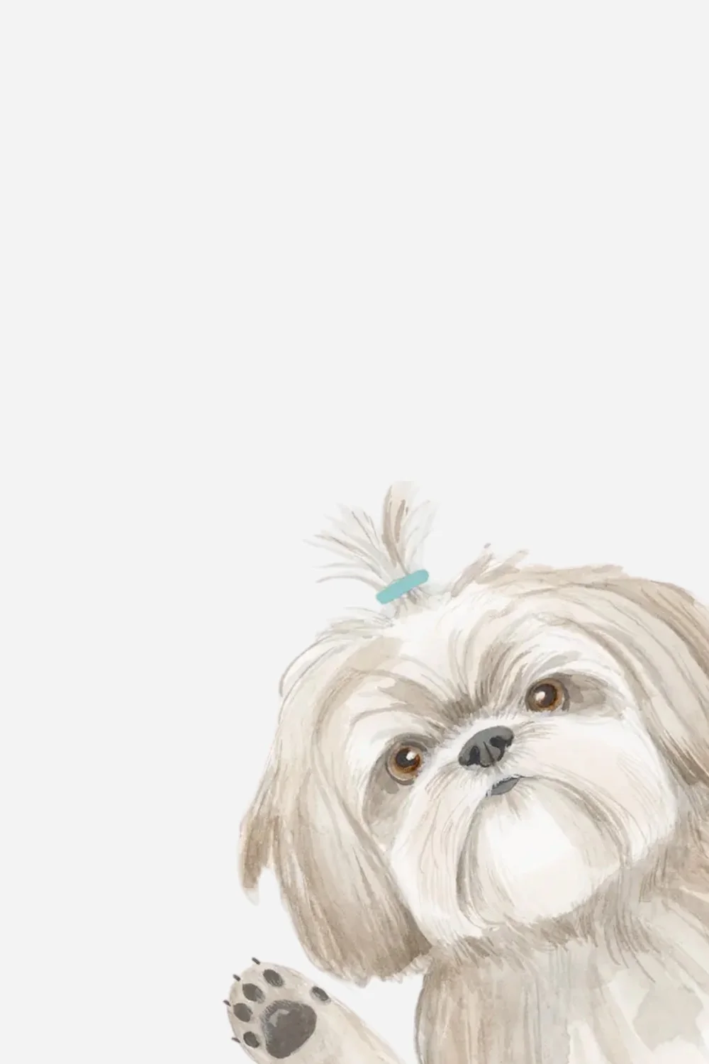 Hope Your Birthday Is The Shihtz Card - Image 2