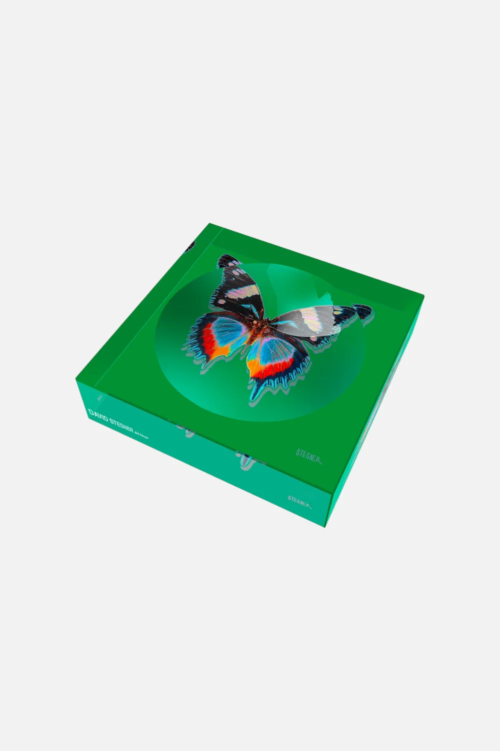 David Stesner Arthouse Emerald Essence Dish - Image 3