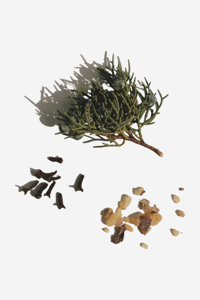 AYOND Metamorph Eau De Parfum - Image 3