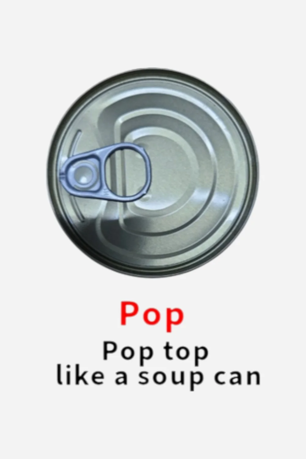 Canned Opossum - Image 8