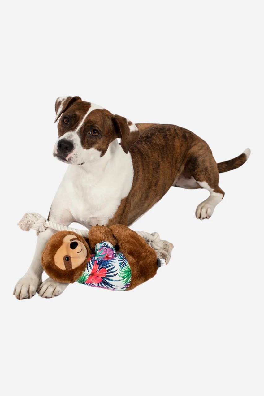 Fringe Studio Sloth Let's Hang Out Dog Toy - Image 3