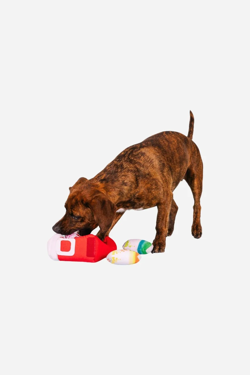 Fringe Studio Stay Cool Hide & Seek Dog Toy - Image 4