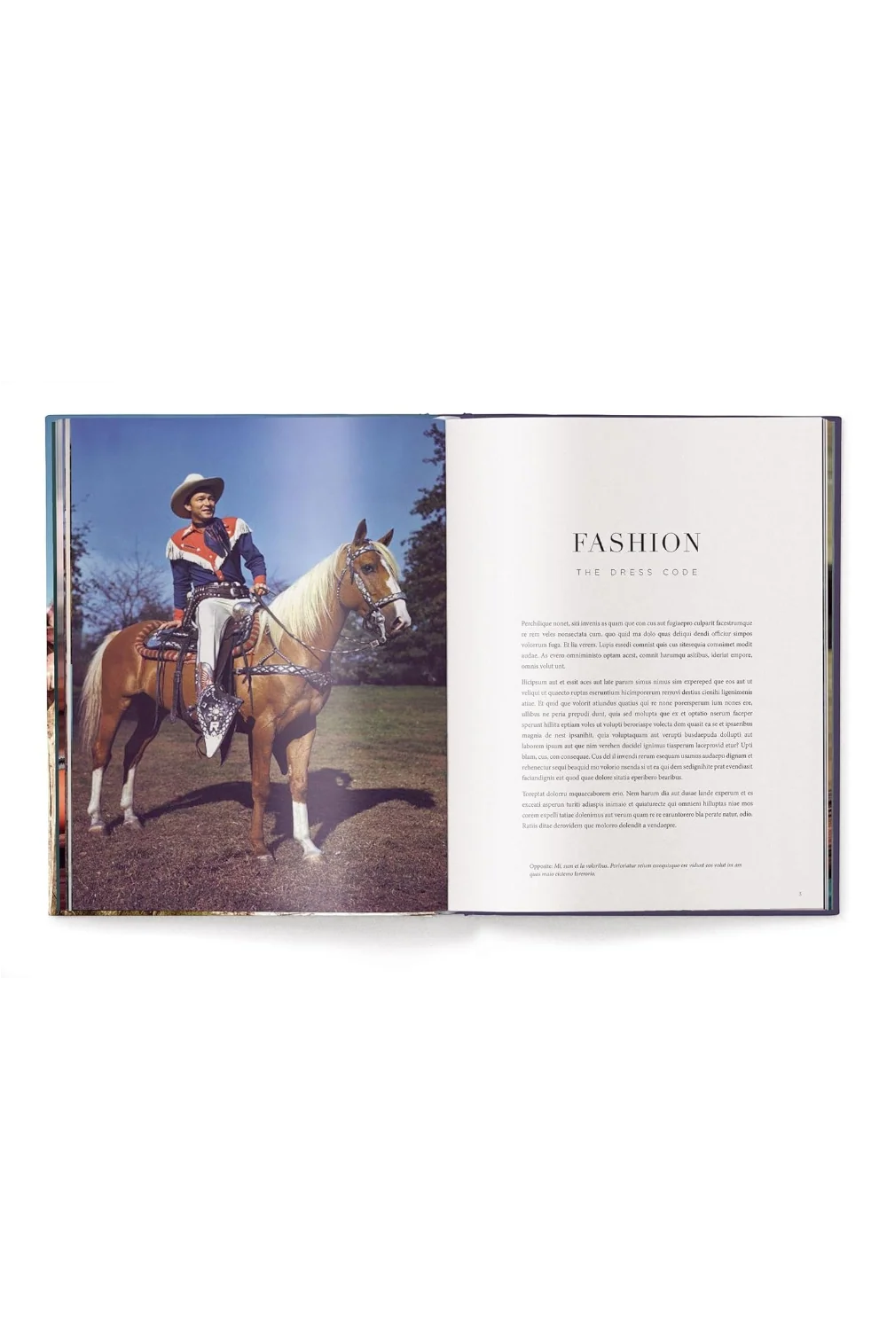 The Stylish Life Cowboys Book - Image 2