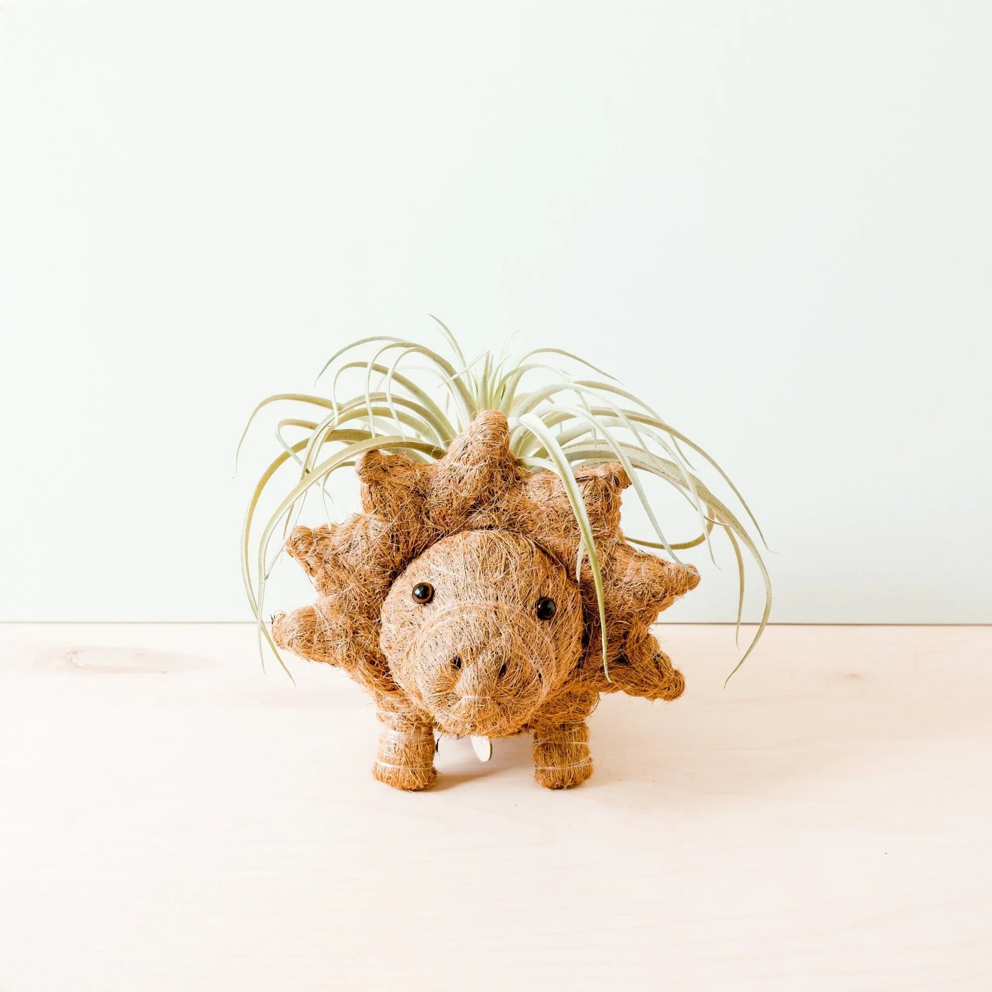 Likha Coco Coir Pots Triceratops Planter