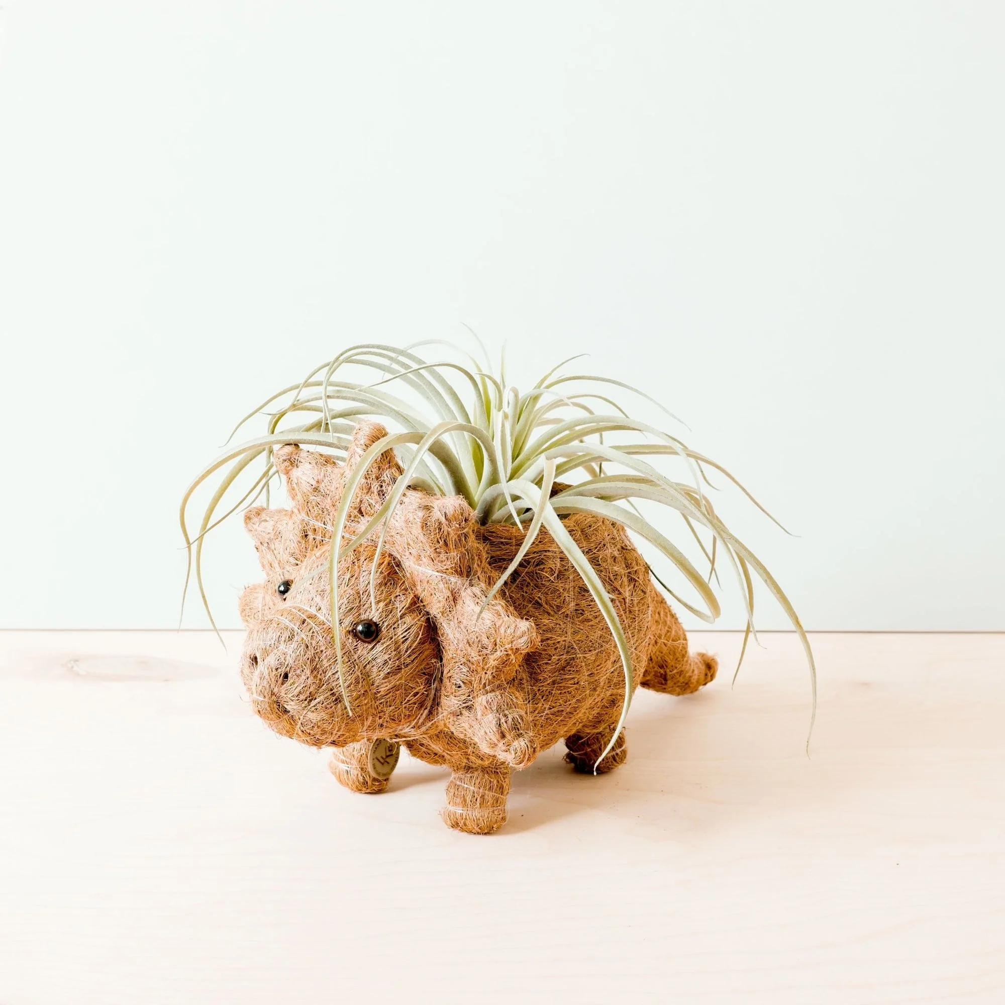 Likha Coco Coir Pots Triceratops Planter - Image 2