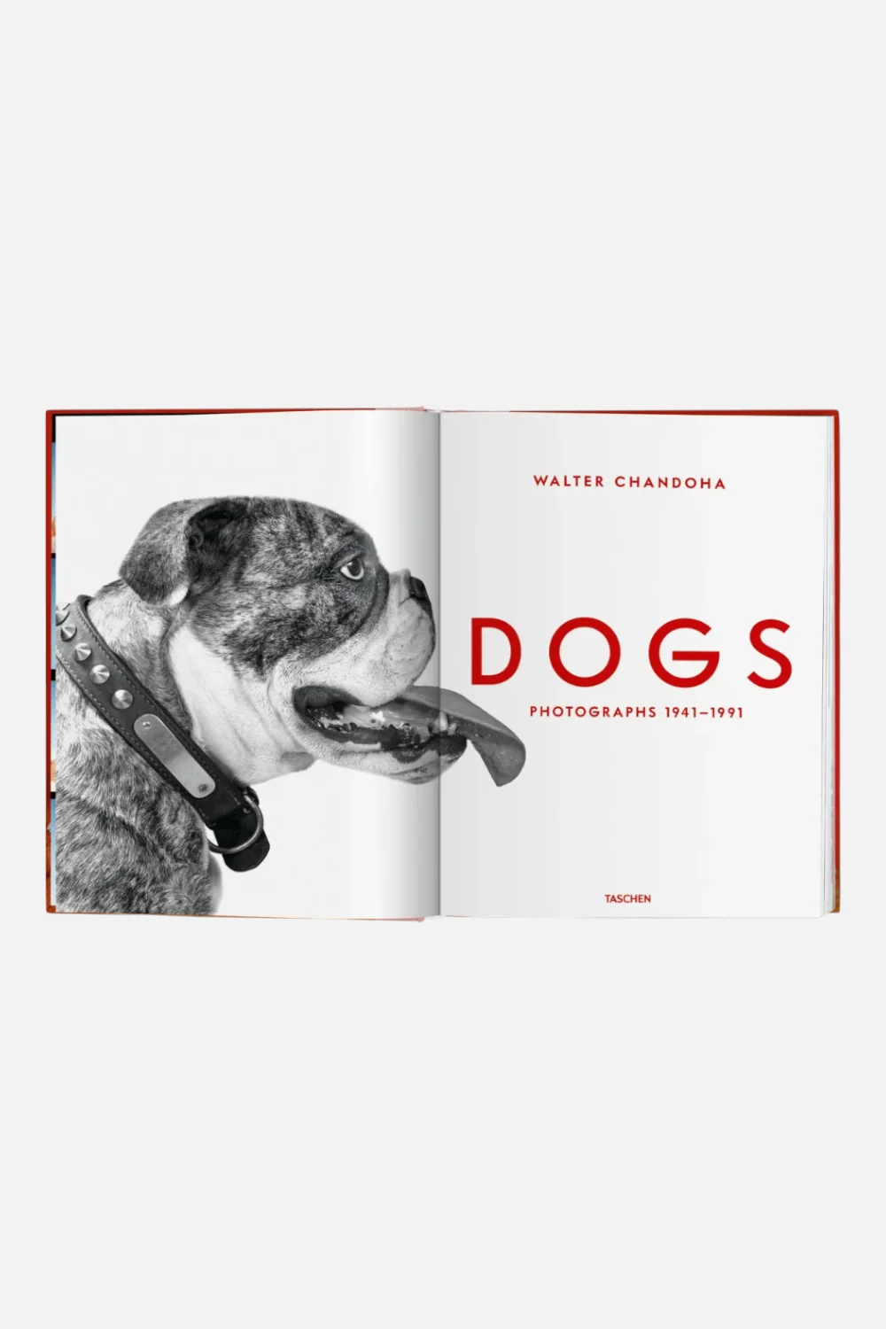 Walter Chandoha Dogs Photograph's Print Book - Image 2