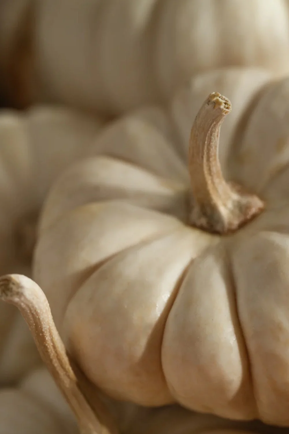 Pura White Pumpkin Smart Vial Refill - Image 4